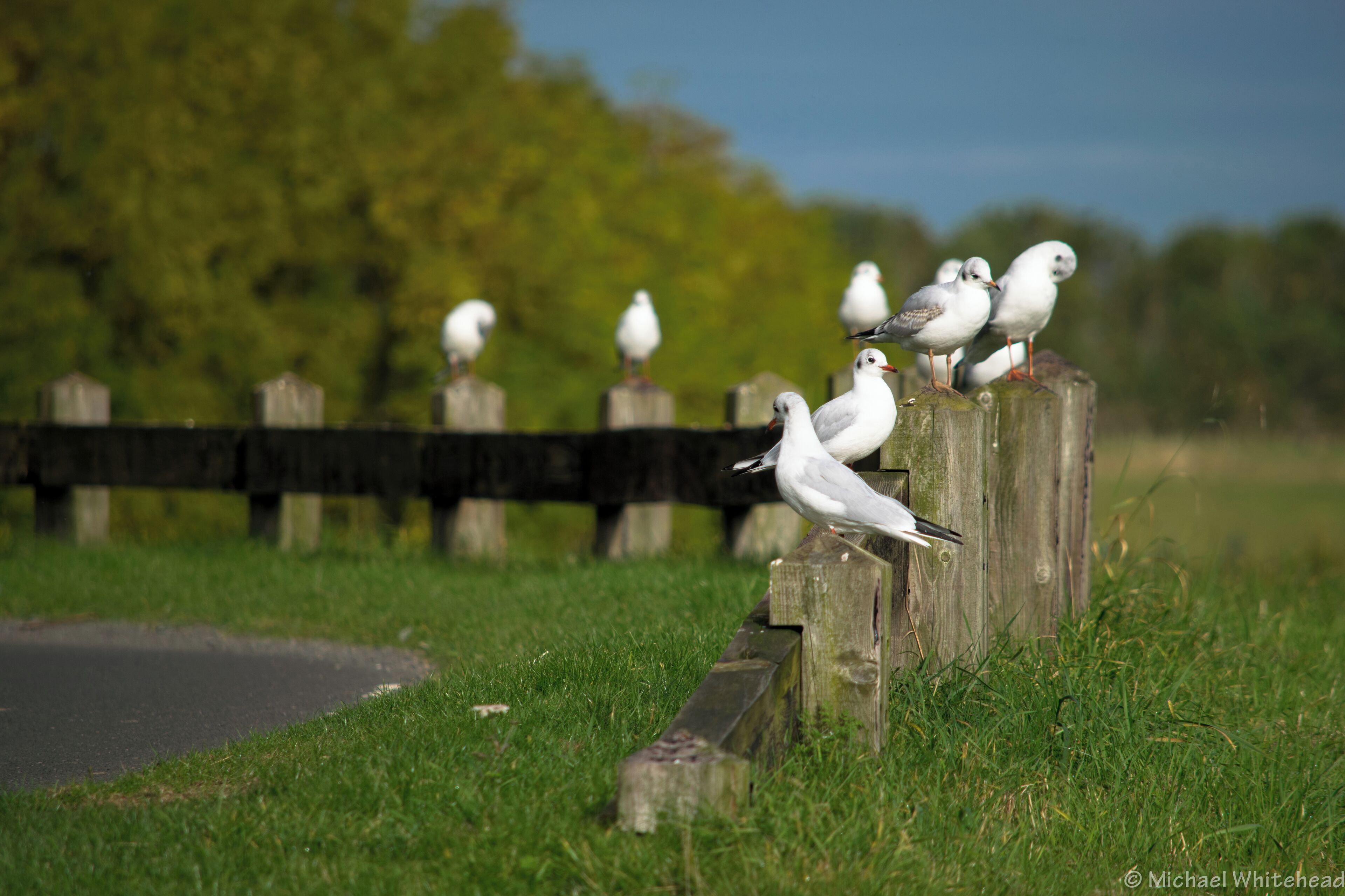 Newbiggin by the Sea, UK