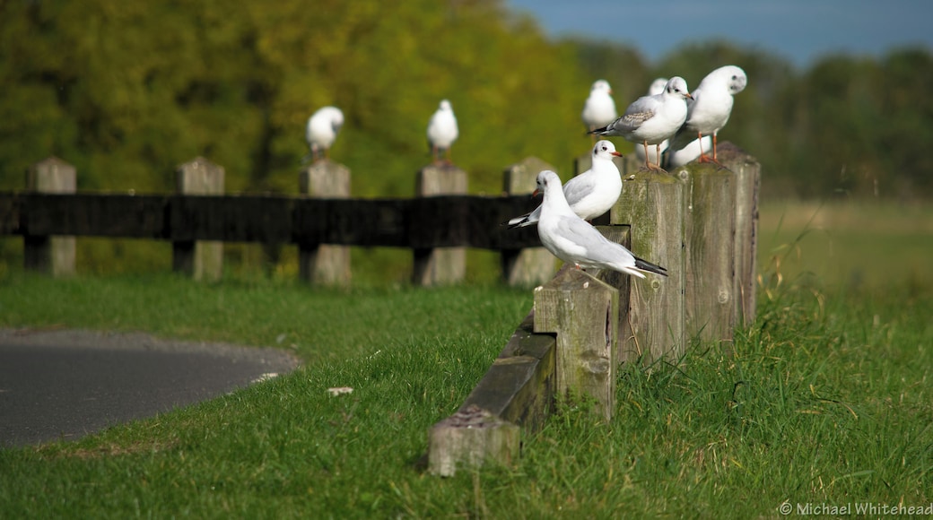 Newbiggin by the Sea, UK