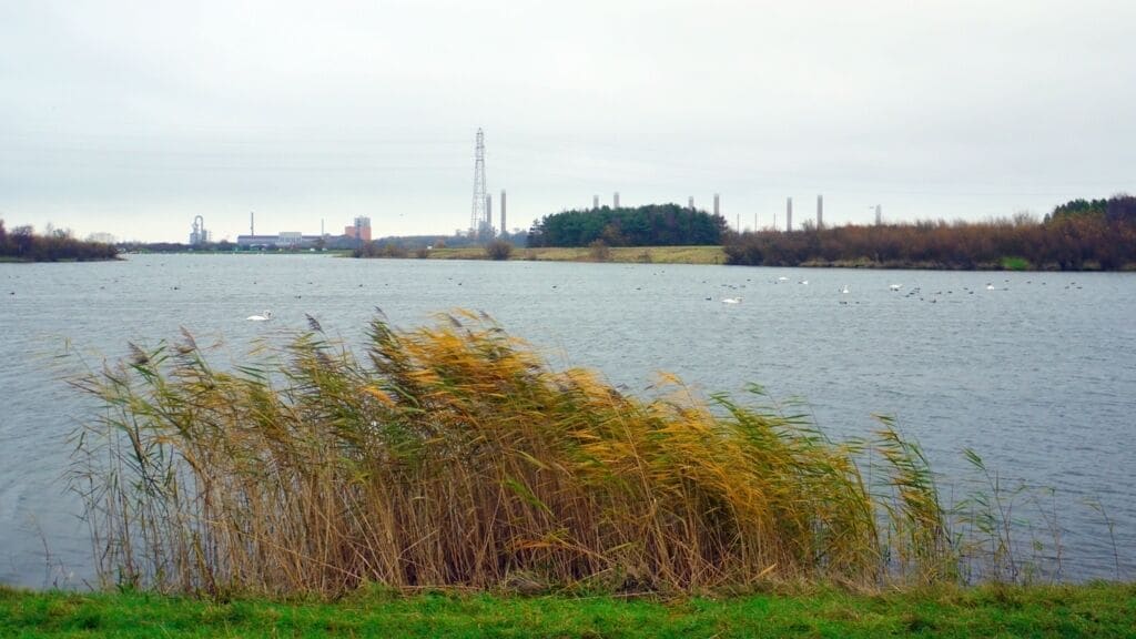 Lake, Queen Elizabeth II Country Park. The QE II Country Park contains this large lake surrounded by planted trees. The distinctive 4-paired chimneys of the Alcan Aluminium Works 298850 can be seen beyond the lake, on the right.