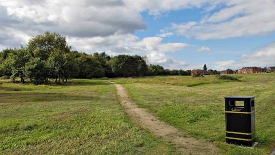 A grassy field with a dirt path, trees, and a litter bin.