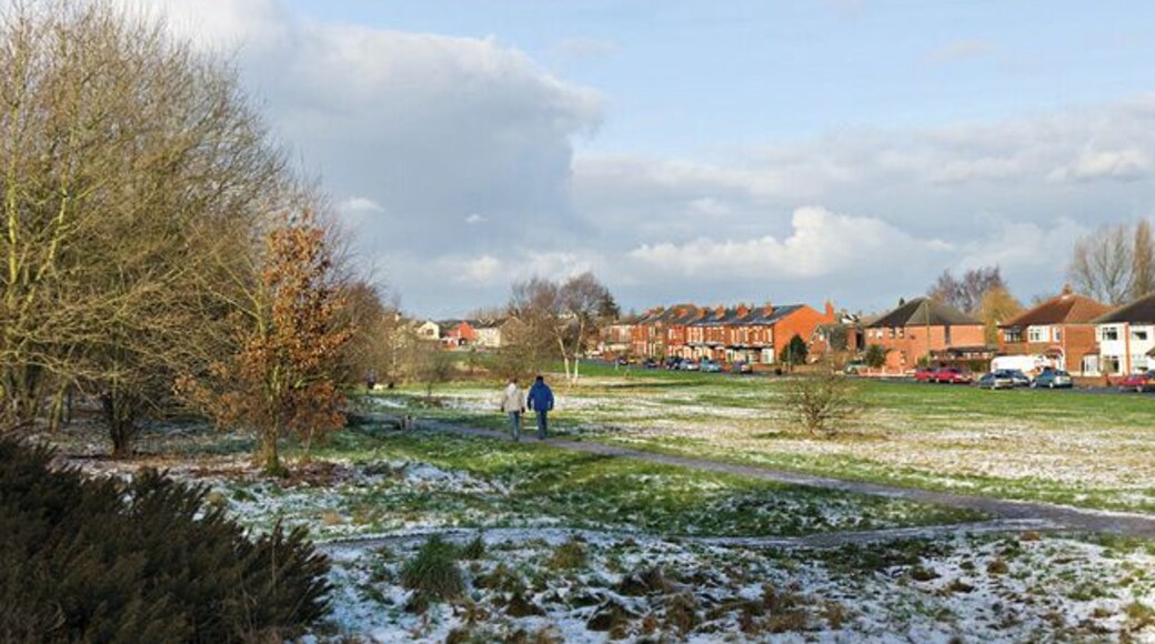 Ashton Heath Ashton Heath is a 7.9 hectare area of common land in Ashton-in-Makerfield which has a noted history in the town going back to the seventeenth century.
