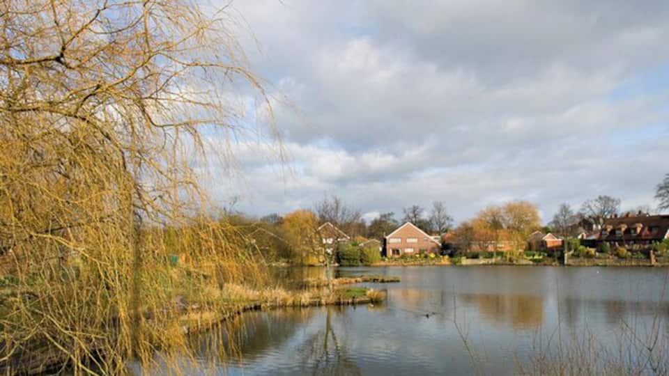 A calm lake with a weeping willow tree, houses, and a cloudy sky.
