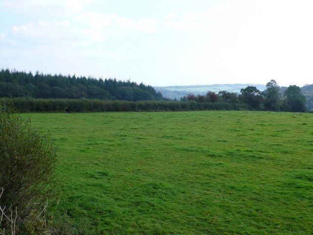 Countryside at Raymonds Hill View SE from near the A35 just east of Raymonds Hill.