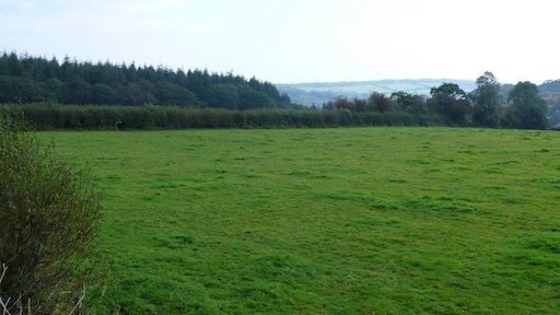 Countryside at Raymonds Hill View SE from near the A35 just east of Raymonds Hill.