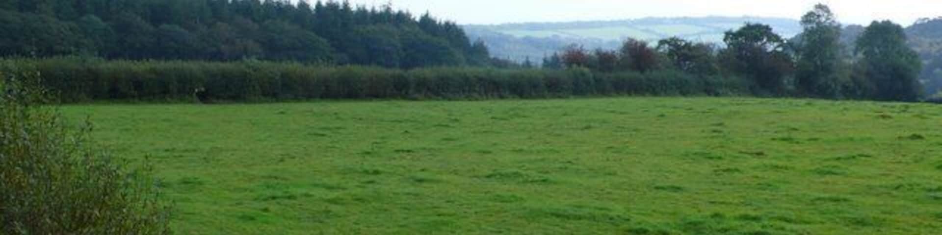 Countryside at Raymonds Hill View SE from near the A35 just east of Raymonds Hill.