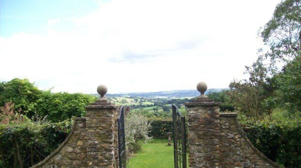 View from Burrow Farm Gardens