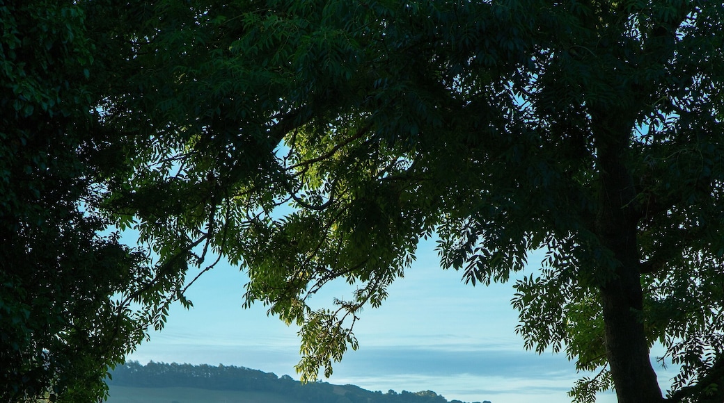 Farmland near town of Axminster in East Devon, UK.