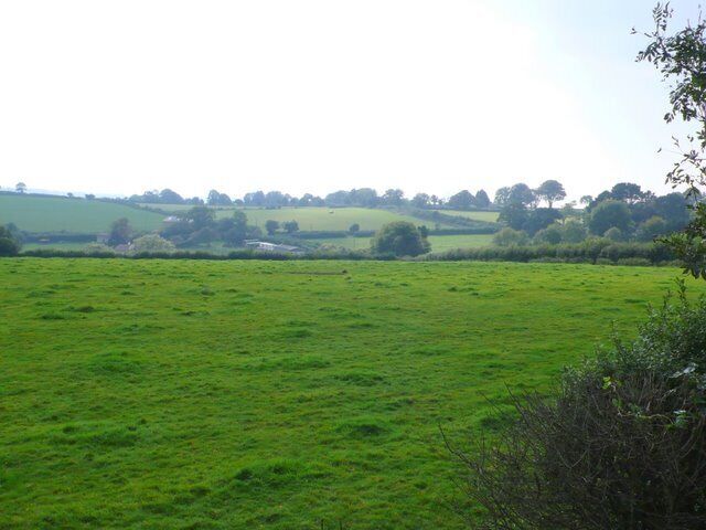 Raymonds Hill View SW from close to the A35