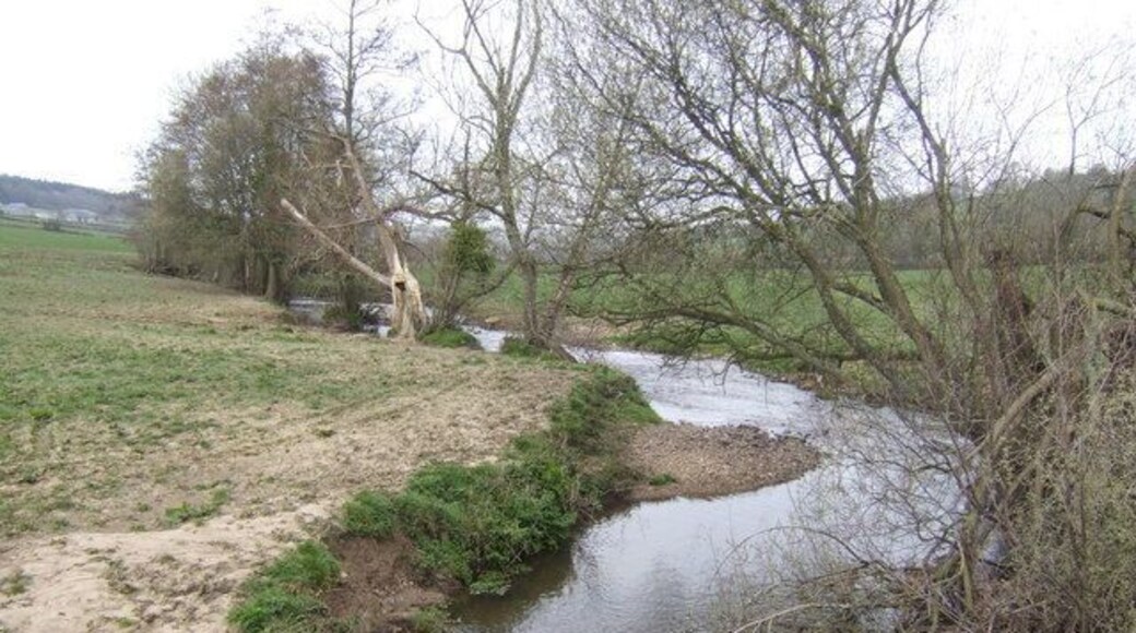 Corry Brook From the bridge north of Coryton. View west - upstream.