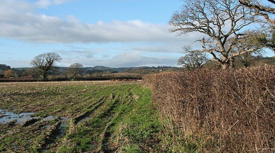 Musbury: near Millands Farm Looking west-north-west across farmland in the Axe valley