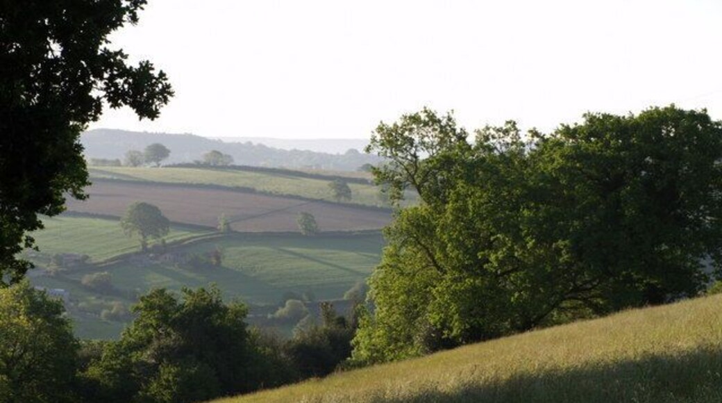 Green field at Greenfields A steep field of grass beside the farm drive to Greenfields. In the background is the valley of the Umborne Brook, a major tributary of the River Coly; the fields on the far side are in SY2398, near Platt.