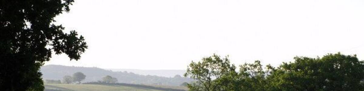Green field at Greenfields A steep field of grass beside the farm drive to Greenfields. In the background is the valley of the Umborne Brook, a major tributary of the River Coly; the fields on the far side are in SY2398, near Platt.
