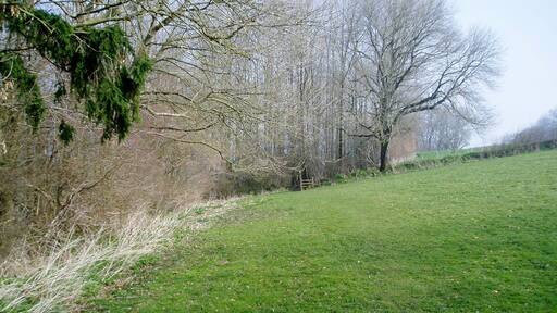 Footpath approaching woods near Weycroft Hall