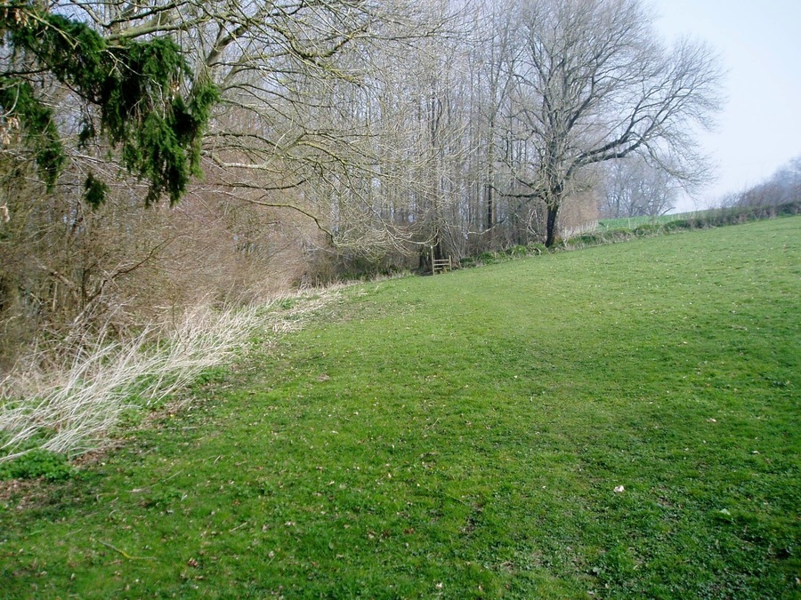Footpath approaching woods near Weycroft Hall