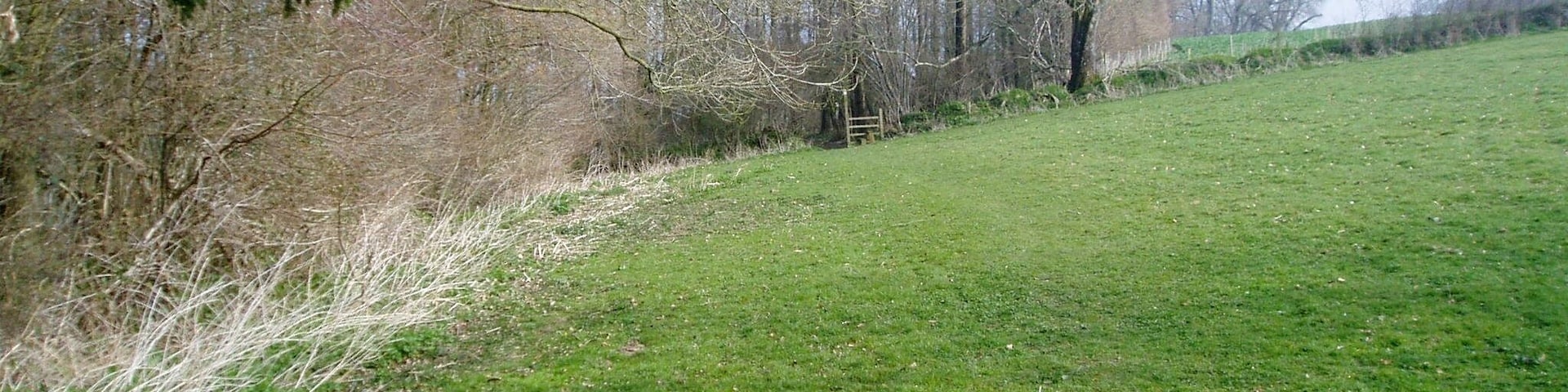 Footpath approaching woods near Weycroft Hall