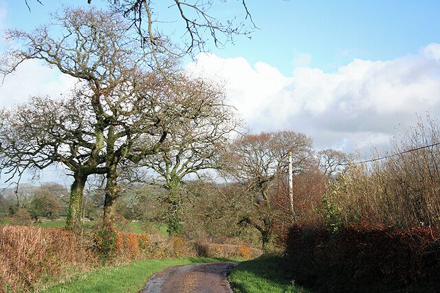 Dalwood: lane to Hawley Cross Looking north east. Hidden, just beyond the bend, is a bridleway from Larkshayes Farm