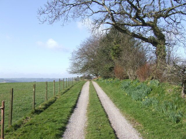 A gravel path flanked by a fence and trees, leading to a distant building.