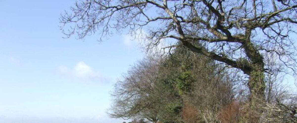 A gravel path flanked by a fence and trees, leading to a distant building.