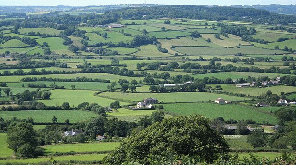 Musbury: the Axe valley Towards Shute Hill. On the skyline, just visible, is the Stockland communications mast. On the far side of the valley, in mid distance, is the embankment of the Salisbury-Exeter railway at the start of the gradient where the line climbs up the Umborne valley to Honiton. Seen from a point north of the iron age hillfort, Musbury Castle, accessible by public footpath