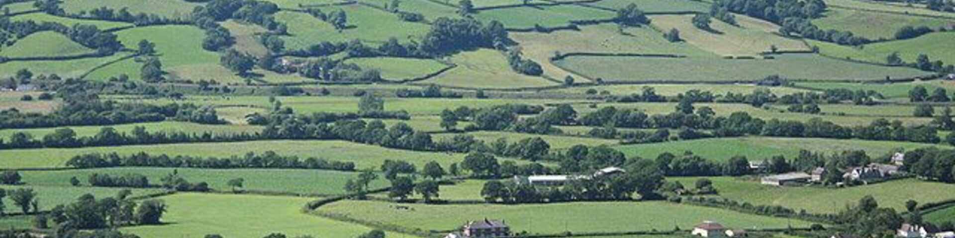 Musbury: the Axe valley Towards Shute Hill. On the skyline, just visible, is the Stockland communications mast. On the far side of the valley, in mid distance, is the embankment of the Salisbury-Exeter railway at the start of the gradient where the line climbs up the Umborne valley to Honiton. Seen from a point north of the iron age hillfort, Musbury Castle, accessible by public footpath