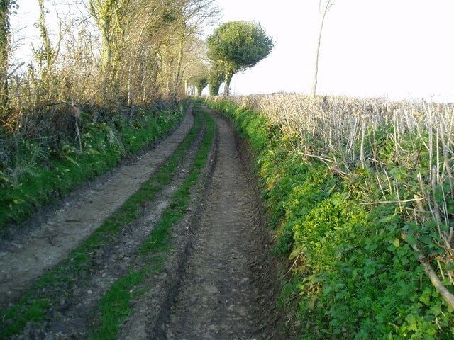 Ancient trackway west of Membury village Track with public access continuation of Golye Acre Lane.
