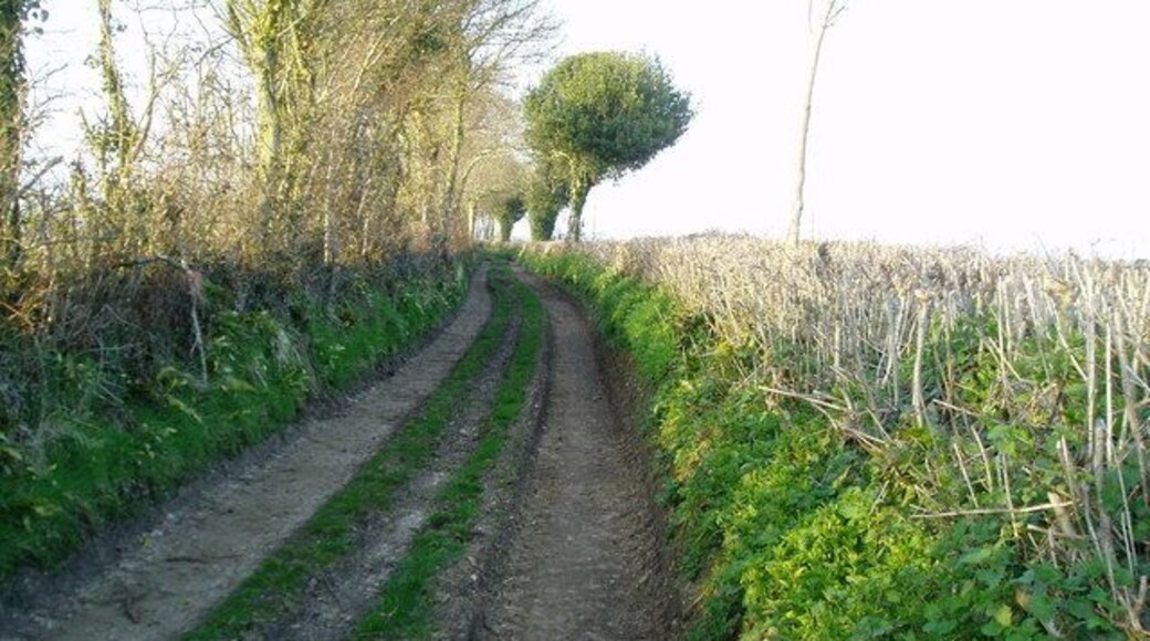 Ancient trackway west of Membury village Track with public access continuation of Golye Acre Lane.
