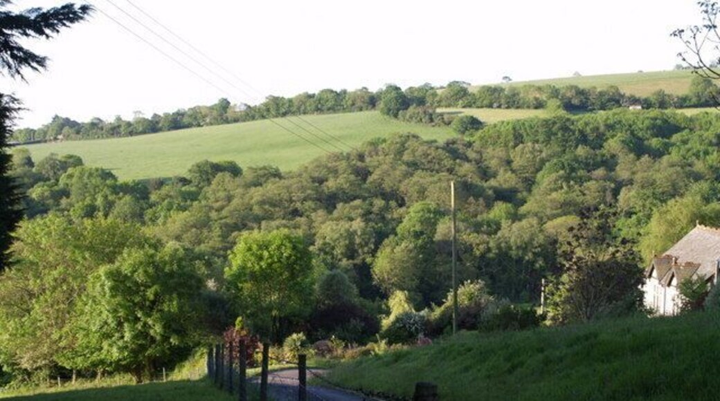 Halshayne This valley drops to the left to meet the Umborne Brook valley. Watchcombe Copse is on the far side; the fields above it are in SY2297. The house on the right is shown as Halshayne Manor Farm on the maps, but plain "Halshayne" on the gatepost.