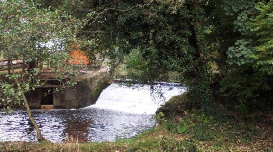 Weir above Weycroft Mill.