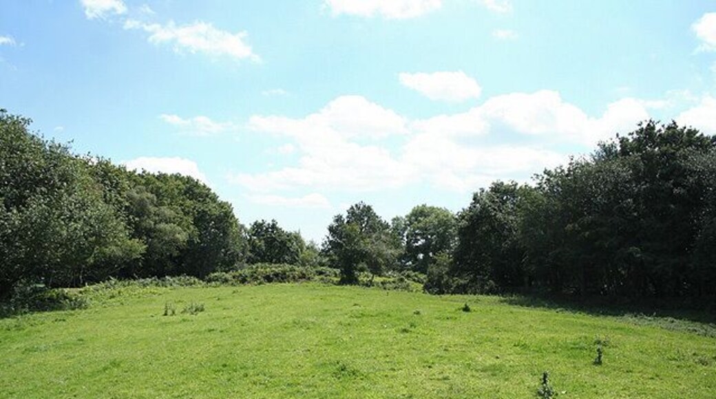 Membury: Membury Castle The site of an iron age hillfort now ringed by trees; accessible by public footpaths. It stands 200m high above sea level with Membury village to the west, where the hill slope is steeper. The original entrances were in the south western corner and part of the way along the eastern rampart. Looking south