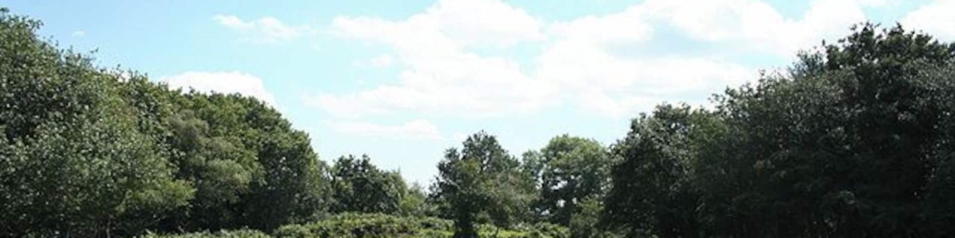 Membury: Membury Castle The site of an iron age hillfort now ringed by trees; accessible by public footpaths. It stands 200m high above sea level with Membury village to the west, where the hill slope is steeper. The original entrances were in the south western corner and part of the way along the eastern rampart. Looking south