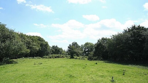 Membury: Membury Castle The site of an iron age hillfort now ringed by trees; accessible by public footpaths. It stands 200m high above sea level with Membury village to the west, where the hill slope is steeper. The original entrances were in the south western corner and part of the way along the eastern rampart. Looking south