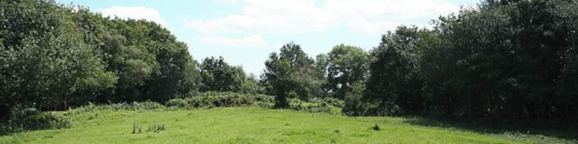 Membury: Membury Castle The site of an iron age hillfort now ringed by trees; accessible by public footpaths. It stands 200m high above sea level with Membury village to the west, where the hill slope is steeper. The original entrances were in the south western corner and part of the way along the eastern rampart. Looking south