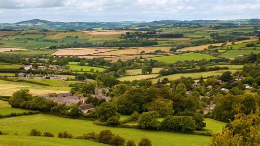 Dorset Countryside
