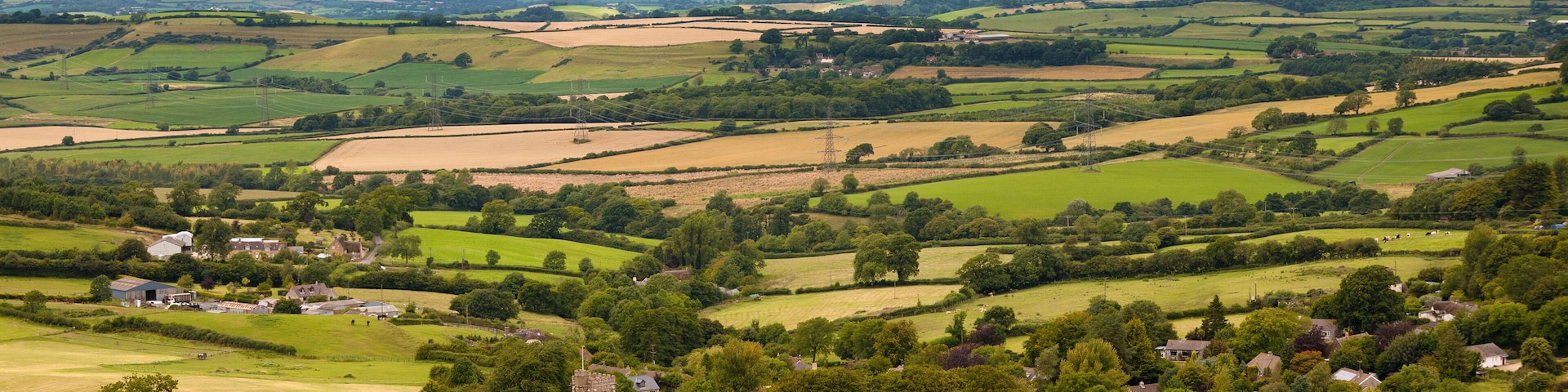 Dorset Countryside