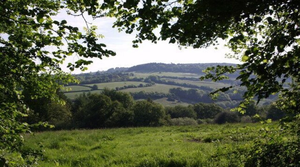 View from Pudleylake Road The road briefly crosses the southwest corner of this square, but this view from a gateway on the edge of Ashford Hill Plantation looks right across the square. The valley in the centre carries the tributary of the Axe that flows past Great Trill. The first line of trees on the north side of the valley marks the line of the dismantled Axminster & Lyme Regis Railway. Above the fields is Trinity Hill, in SY3095.