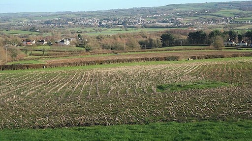Kilmington: towards the Axe valley Seen from Hampton Road with Axminster in the distance. Looking east-north-east