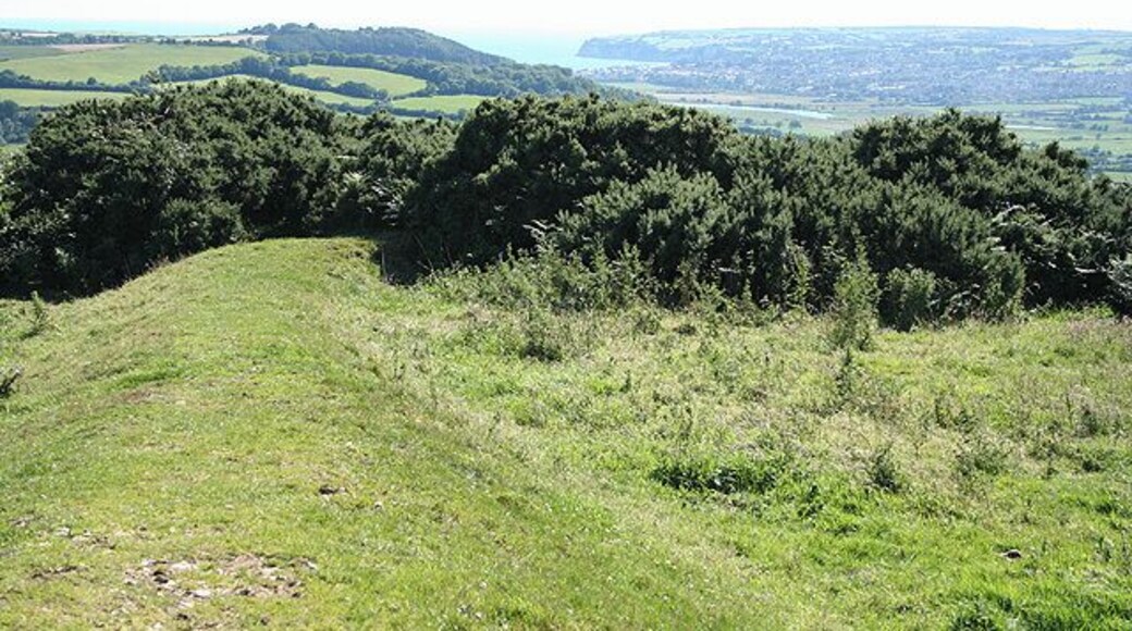 Musbury: Musbury Castle View from the site of the iron age hillfort, accessible by public footpaths steeply from the village and more easily from the north, along the ridge. Looking south west to the mouth of the Axe and Seaton Bay. The Romans had a port at Axmouth and this is reputedly where the Fosse Way ended. Axmouth village is hidden by the wooded Hawkdown Hill, the site of a second hillfort. Musbury Castle stands 170m above sea level