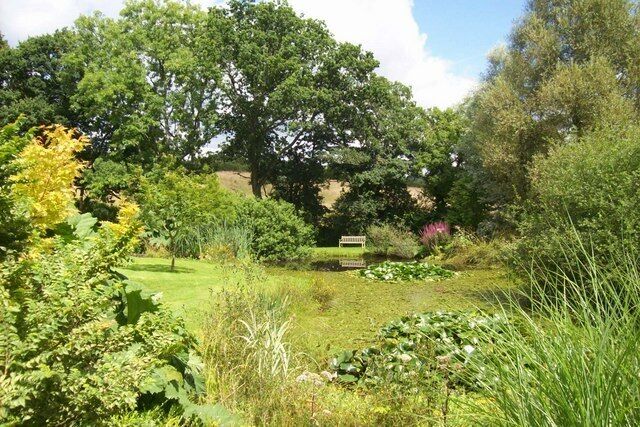 Pond at Burrow Farm Gardens