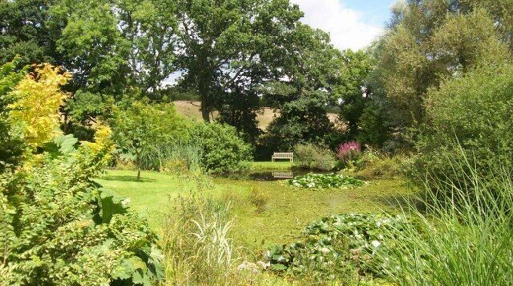Pond at Burrow Farm Gardens