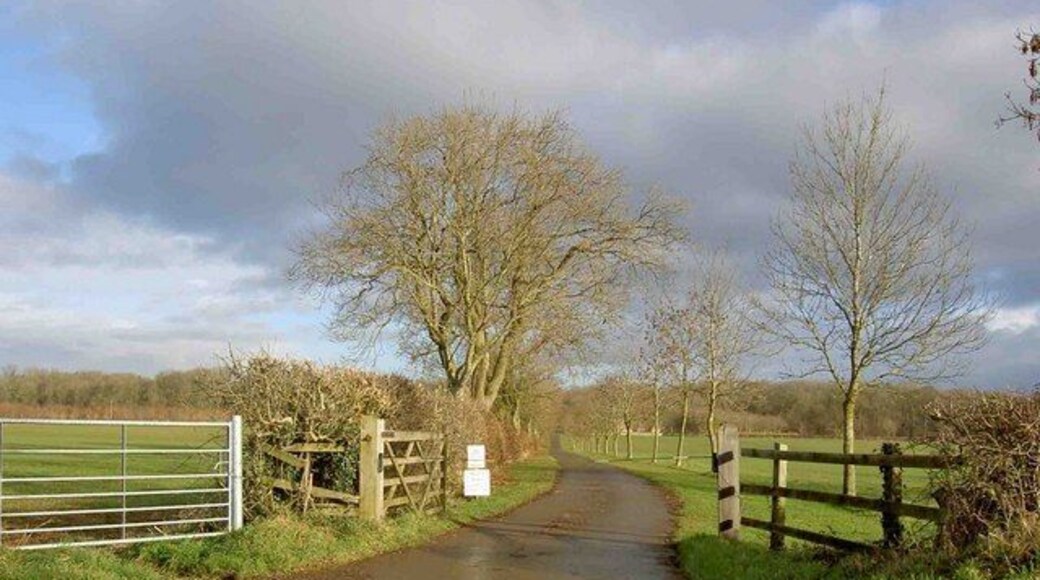 Private Road near Dunkirk