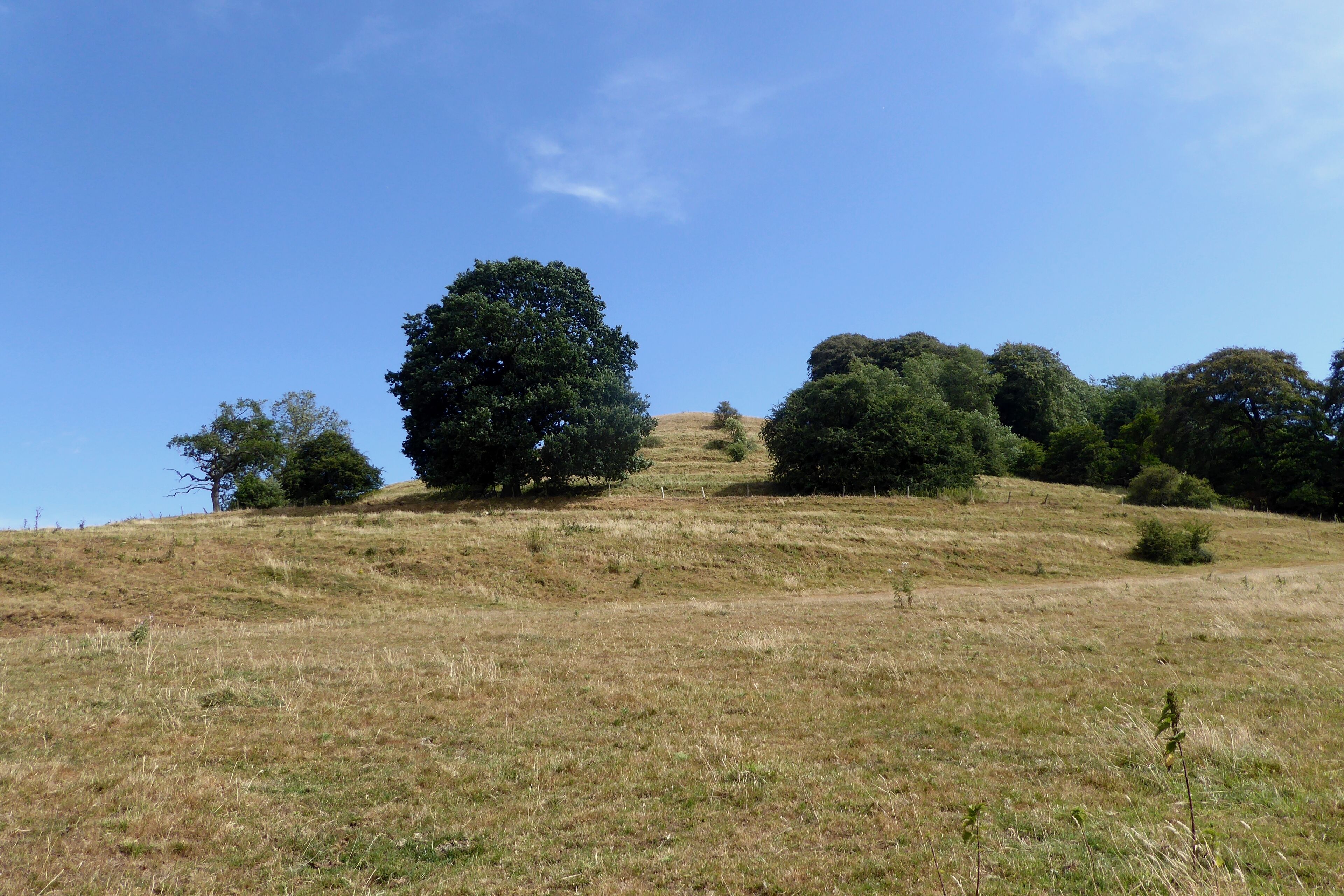 Medieval strip lynchets up Hawkesbury Knoll hill, with an early neolithic long barrow in the top.