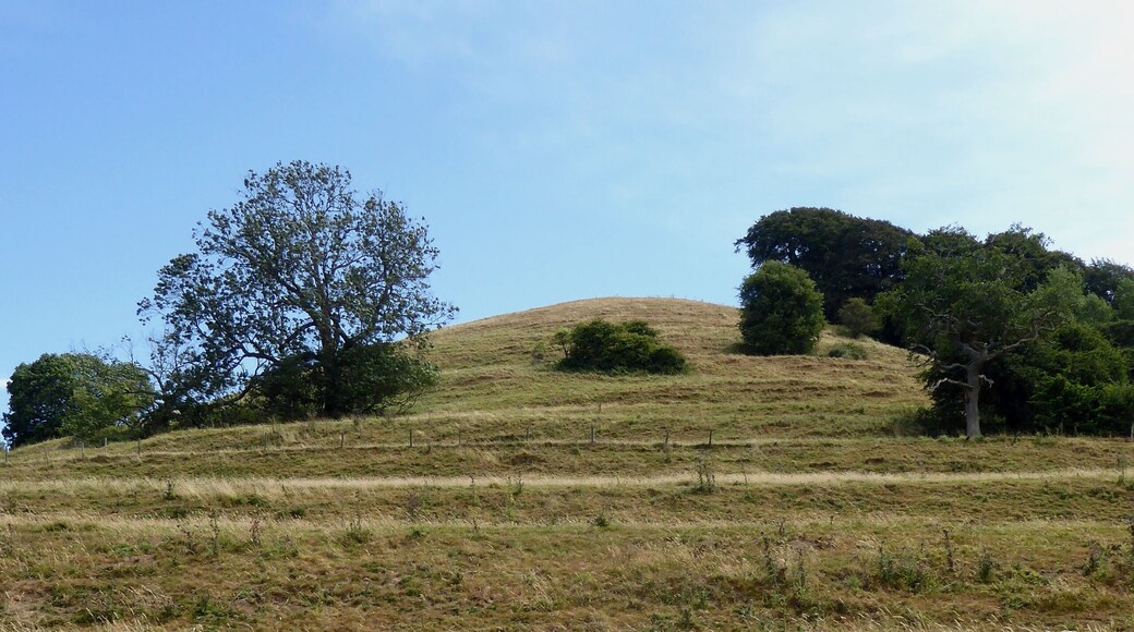 Hawkesbury Knoll near Hawkesbury, Gloucestershire, as seen from the west. Medieval lynchets can be seen along the hill slope, while at the top is an early neolithic long barrow.