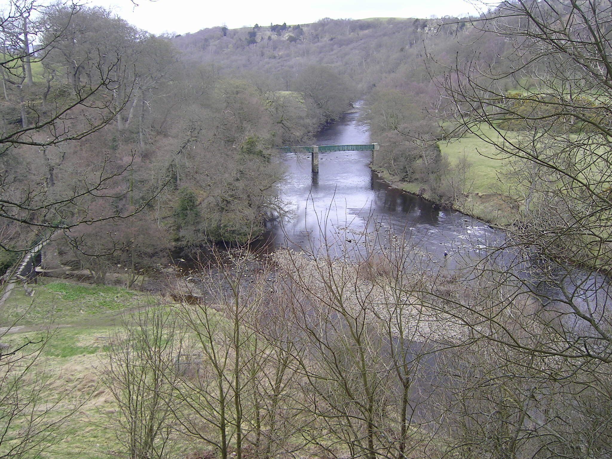 River Tees