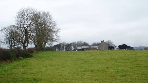 Cocklebury farm Cocklebury lies on the northern edge of an area of slightly raised land with good grazing, surrounded by boggy areas of rough grazing with much growth of Soft Rush, Juncus effusus.