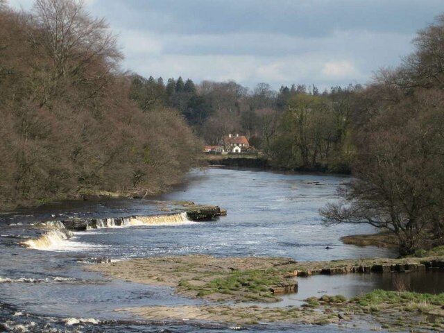 River Tees and Wycliffe. The view East from Whorlton Bridge 919542.