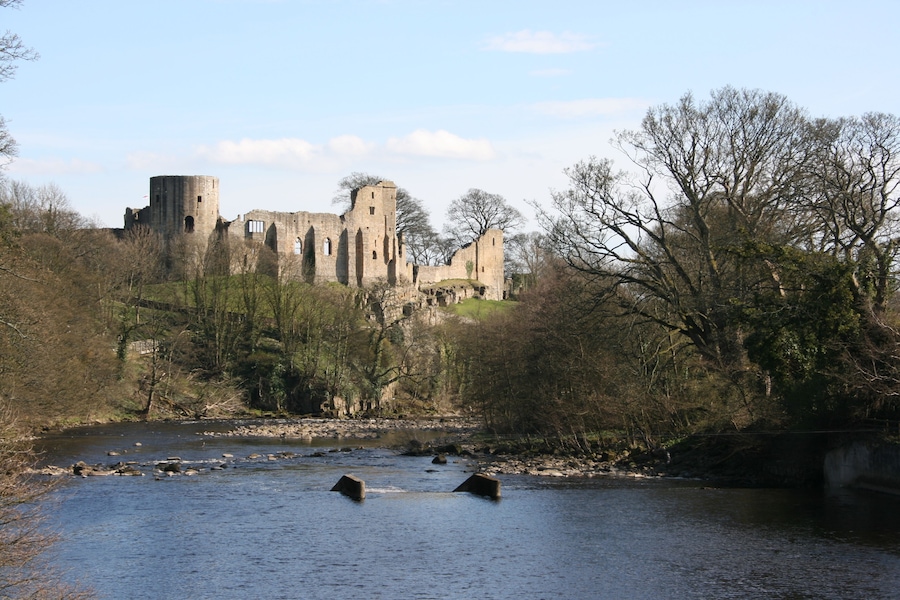Um castelo histórico junto a um rio, com ruínas e árvores.