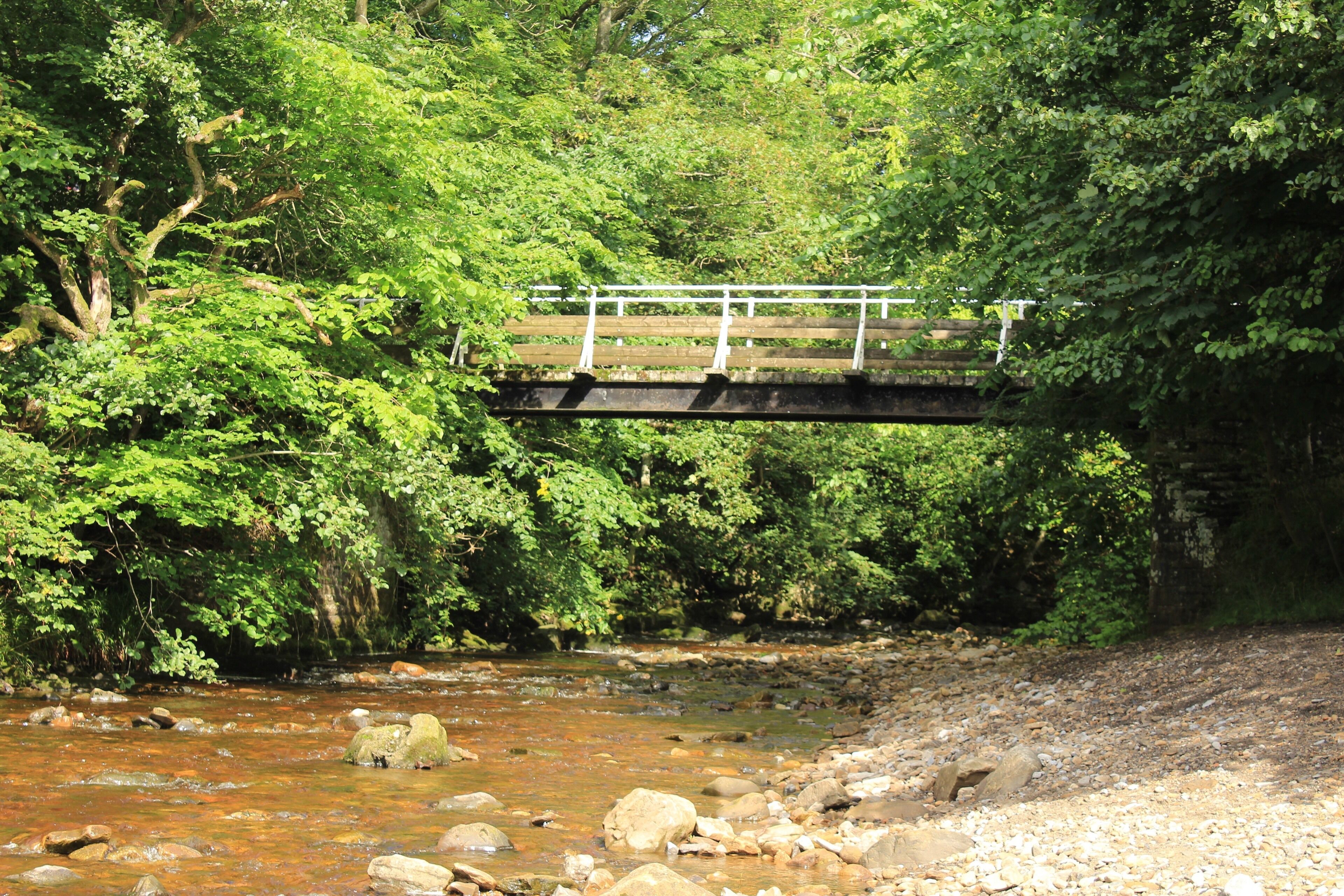 A wooden bridge over a rocky stream surrounded by dense green foliage.