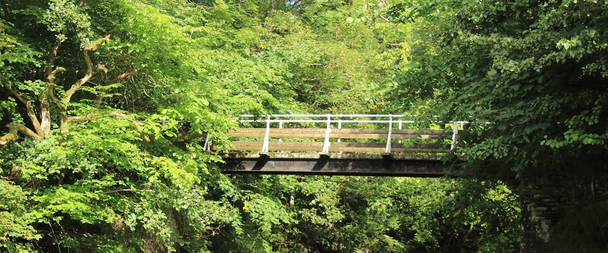 A wooden bridge over a rocky stream surrounded by dense green foliage.