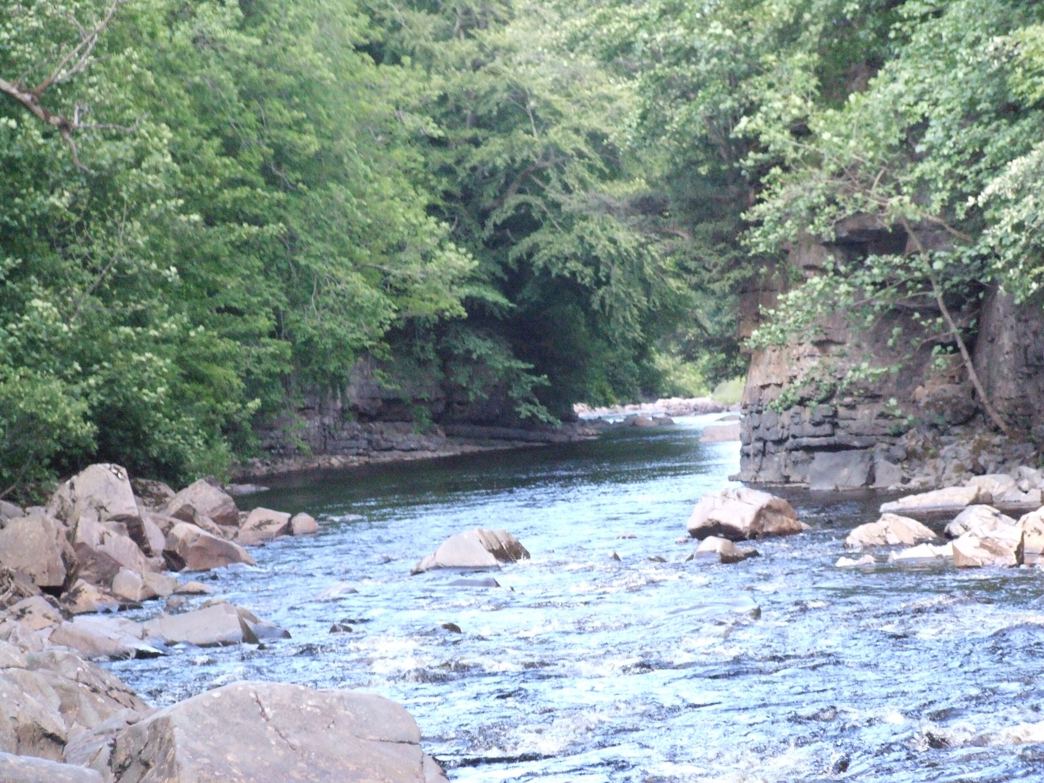 High Force is a waterfall on the River Tees, near Middleton-in-Teesdale, Teesdale, County Durham , England. The waterfall is within the North Pennines Area of Outstanding Natural Beauty (AONB) and European Geopark. The whole of the River Tees plunges 21.5 metres (71 ft) over a precipice (cliff edge which is almost vertical). High Force was formed where the River Tees crosses the Whin Sill.