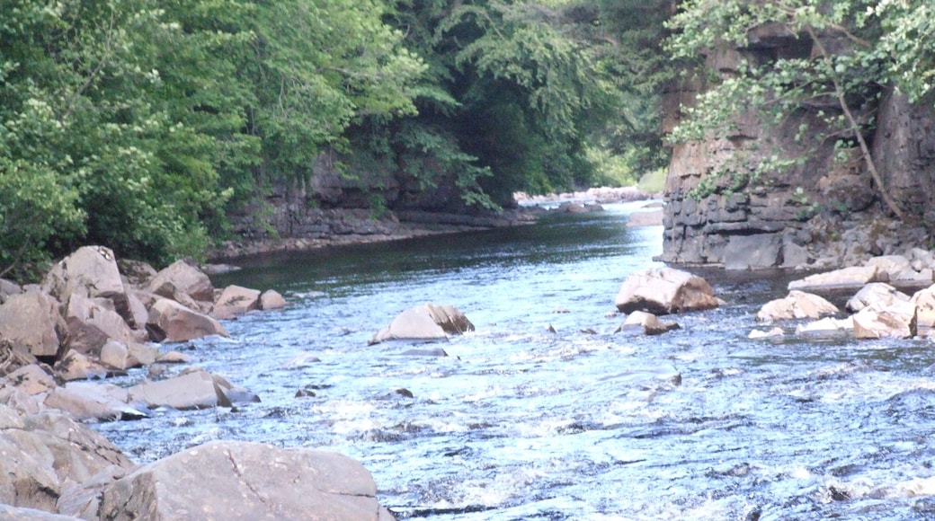 High Force is a waterfall on the River Tees, near Middleton-in-Teesdale, Teesdale, County Durham , England. The waterfall is within the North Pennines Area of Outstanding Natural Beauty (AONB) and European Geopark. The whole of the River Tees plunges 21.5 metres (71 ft) over a precipice (cliff edge which is almost vertical). High Force was formed where the River Tees crosses the Whin Sill.